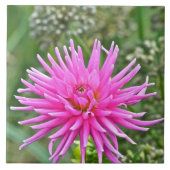 KERAMISCHE TIL/PINK DAHLIA TEGELTJE (Voorkant)