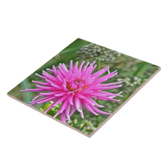 KERAMISCHE TIL/PINK DAHLIA TEGELTJE (Zijkant)