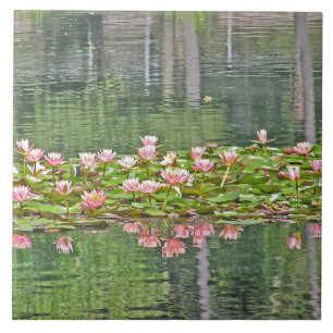 KERAMISCHE TIL/PINKLOTUS BLOSSOMS/POND REFLECTIES TEGELTJE