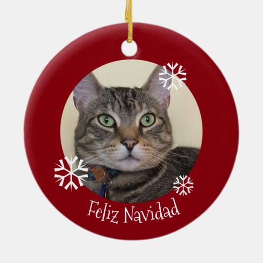 Keramische versiering met keramische keramiek voor keramisch ornament (Achterkant)