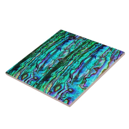 Keramische vormstof van Abalone Tegeltje (Zijkant)