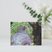 Kereru Closeup Briefkaart (Staand voorkant)