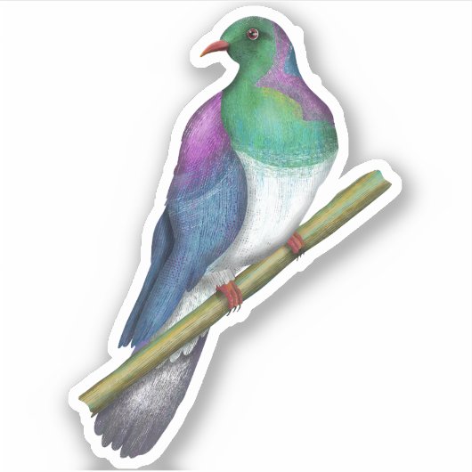 Kereru Houtduif Sticker (Voorkant)