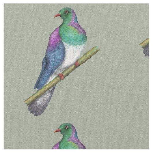 Kereru Houtduif Stof (Close Up)