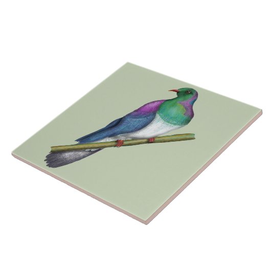 Kereru Houtduif Tegeltje (Zijkant)