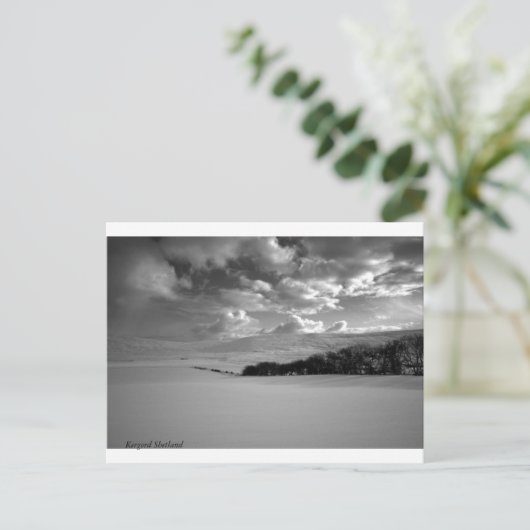 Kergord Shetland Briefkaart (Staand voorkant)