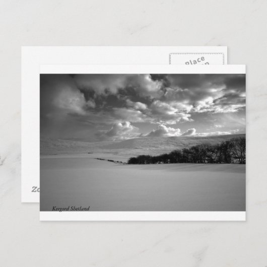 Kergord Shetland Briefkaart (Voorkant / Achterkant)