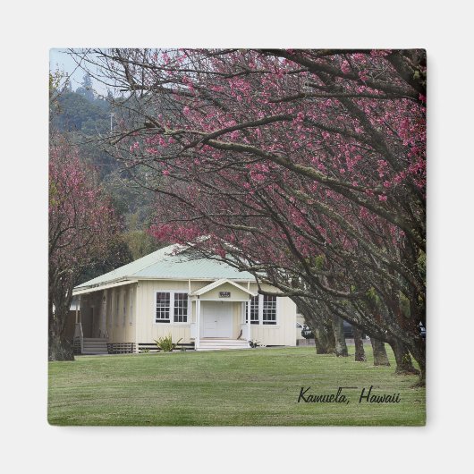 Kerk en Cherry Blossom Magneet (Voorkant)