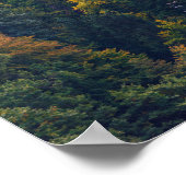 Kerk in een herfst bos in Slovenië Poster (Hoek)