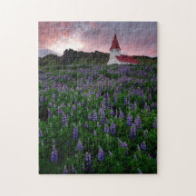 Kerk in het veld Lupine Wildflower in IJsland