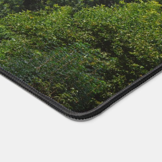 Kerk in Lauterbrunnen vallei, Zwitserland Bureaumat (Hoek)