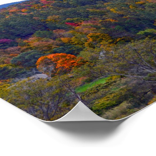 Kerk in Stowe, Vermont, in het najaar Poster (Hoek)