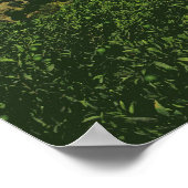 Kerk van de Panayia Poster (Hoek)