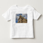 Kerk van de Savior van het gemorste bloed Kinder Shirts (Voorkant)