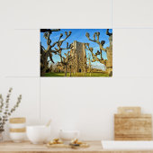 kerk van Sint Anna ter Muiden in Sluis Poster (Keuken)