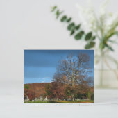 kerkhof in het najaar briefkaart (Staand voorkant)