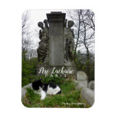 Kerkhof Kat (Pere Lachaise) Magneet (Verticaal)