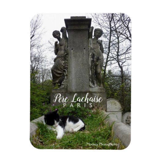 Kerkhof Kat (Pere Lachaise) Magneet (Verticaal)