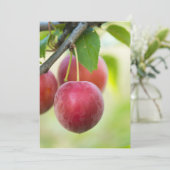 Kerkruid Kaart (Staand voorkant)