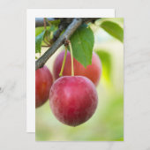 Kerkruid Kaart (Voorkant / Achterkant)