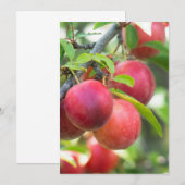 Kerkruid Kaart (Voorkant / Achterkant)