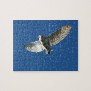 Kerkuil in Dagvlucht Legpuzzel