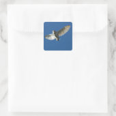 Kerkuil in Dagvlucht Vierkante Sticker (Tas)