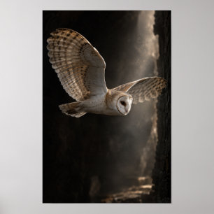 Kerkuil in vlucht door dramatisch licht natuur poster