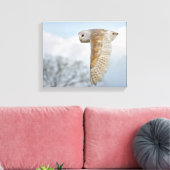 Kerkuil in vlucht ingepakt canvas print (Insitu (Woonkamer))