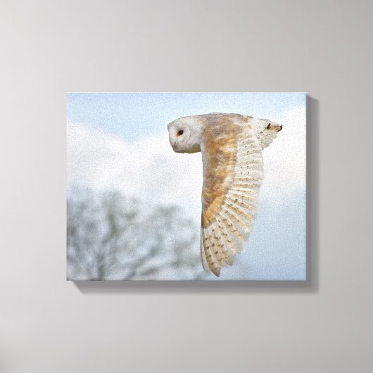 Kerkuil in vlucht ingepakt canvas print (Voorkant)