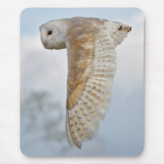 Kerkuil in Vlucht Muismat (Voorkant)