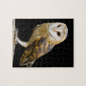 Kerkuil Legpuzzel (Horizontaal)