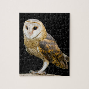 Kerkuil Legpuzzel