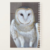 Kerkuil Roofvogel Foto Planner (Achterkant)