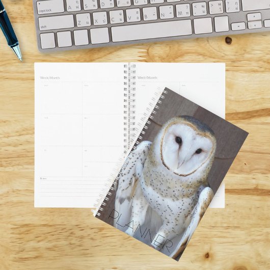 Kerkuil Roofvogel Foto Planner
