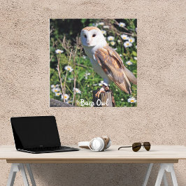 Kerkuil Wit Gezicht Opgespannen Canvasprint Canvas Afdruk