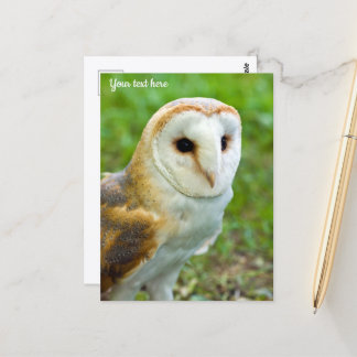 Kerkuilansichtkaart Briefkaart