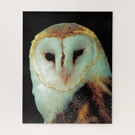 Kerkuilen - Roofvogels. Legpuzzel (Verticaal)