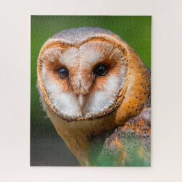 Kerkuilen - Roofvogels. Legpuzzel
