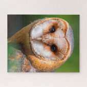 Kerkuilen - Roofvogels. Legpuzzel (Horizontaal)