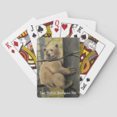 Kermode Beer Kaarten Aangepersonaliseerde Beer die (Achterkant)