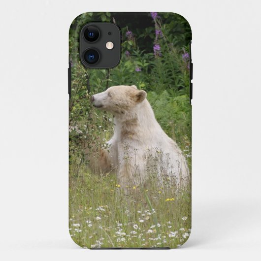 Kermode Spirit Bear Wildlife iPhone Hoesje (Achterkant)