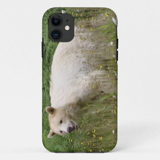 Kermode Spirit Bear Wildlife iPhone Hoesje (Achterkant)