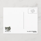 Kern River Briefkaart! Briefkaart (Achterkant)