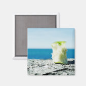 Kern van Apple in de vuil Magneet (Voorkant / Achterkant)