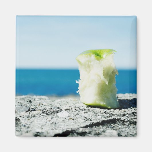 Kern van Apple in de vuil Magneet (Voorkant)