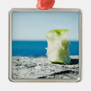 Kern van Apple in de vuil Metalen Ornament