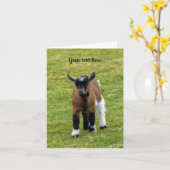 Kernaart Verjaardagskaart Dwerggeit Kaart (Gele Bloem)