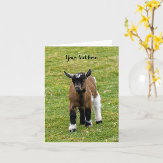 Kernaart Verjaardagskaart Dwerggeit Kaart (Gele Bloem)