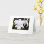 Kernachtige Witte Orchideeën in een Schaduwrijke Kaart (Gele Bloem)